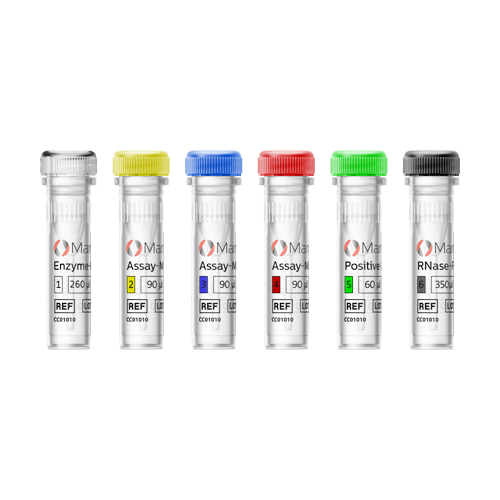[.NO-no Norway (norwegian)] MammaTyper Vials 